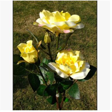 Yellow roses blooming in garden, vibrant petals and green leaves, natural outdoor setting