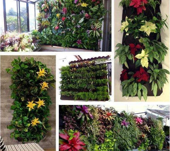 Vertical garden walls with vibrant flowers & lush greenery for indoor/outdoor spaces